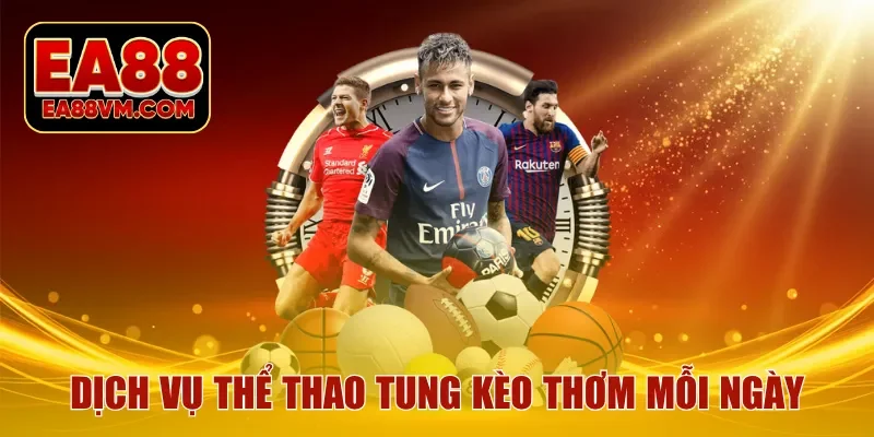 Dịch vụ thể thao tung kèo thơm mỗi ngày